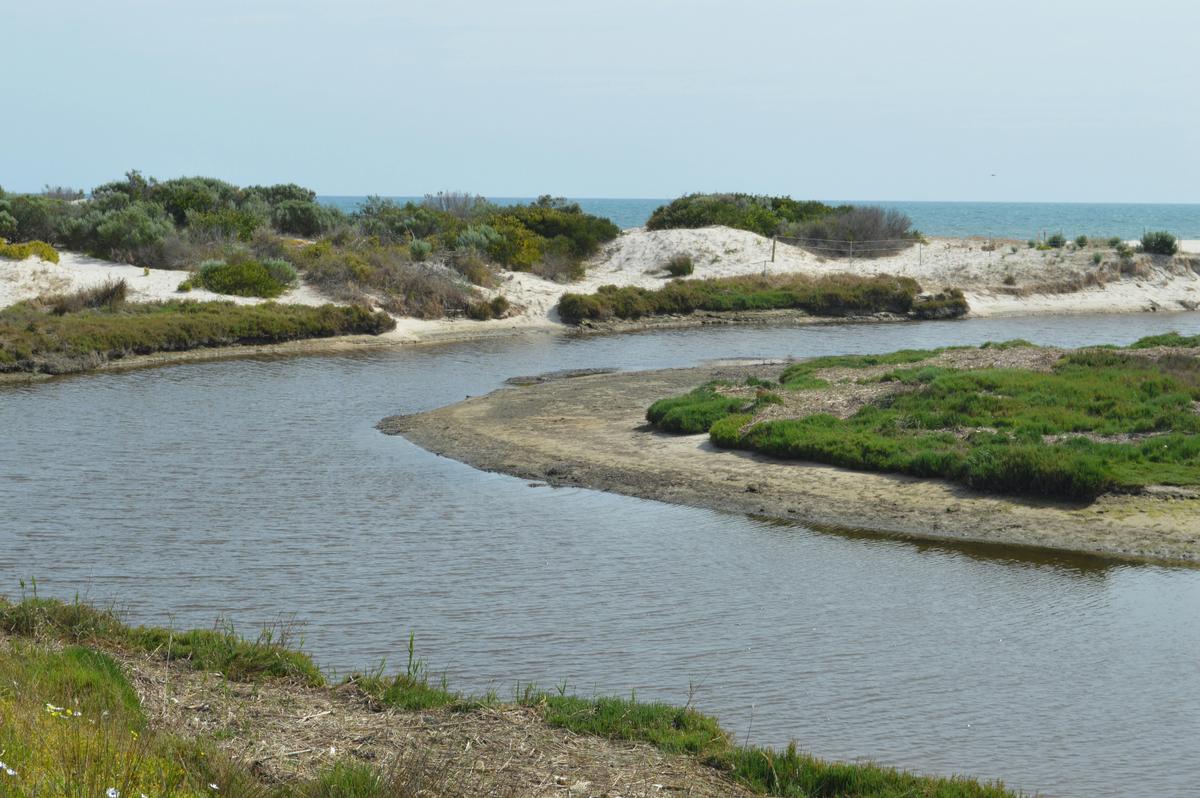 beach river nature walk beach access sa adelaide australia kayak surf