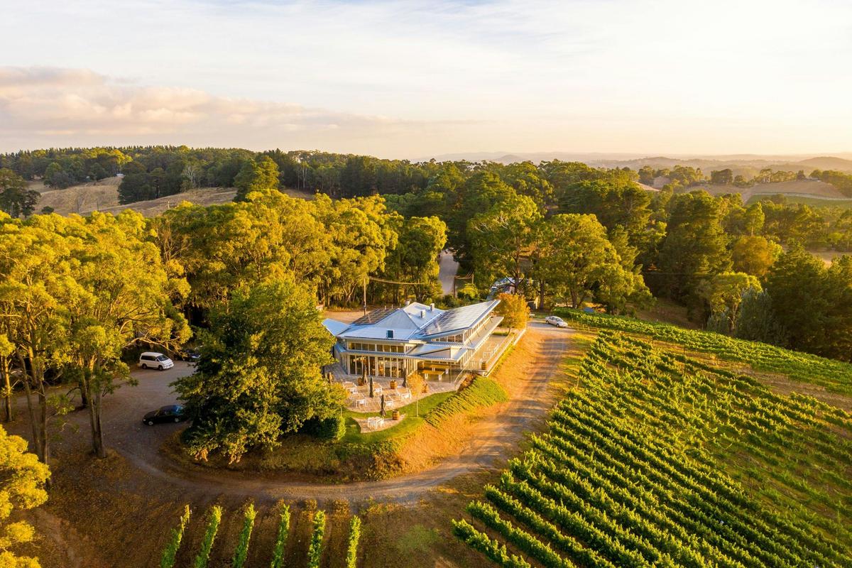 3 Day European Odyssey: A South Australian Cultural Food & Wine Adventure