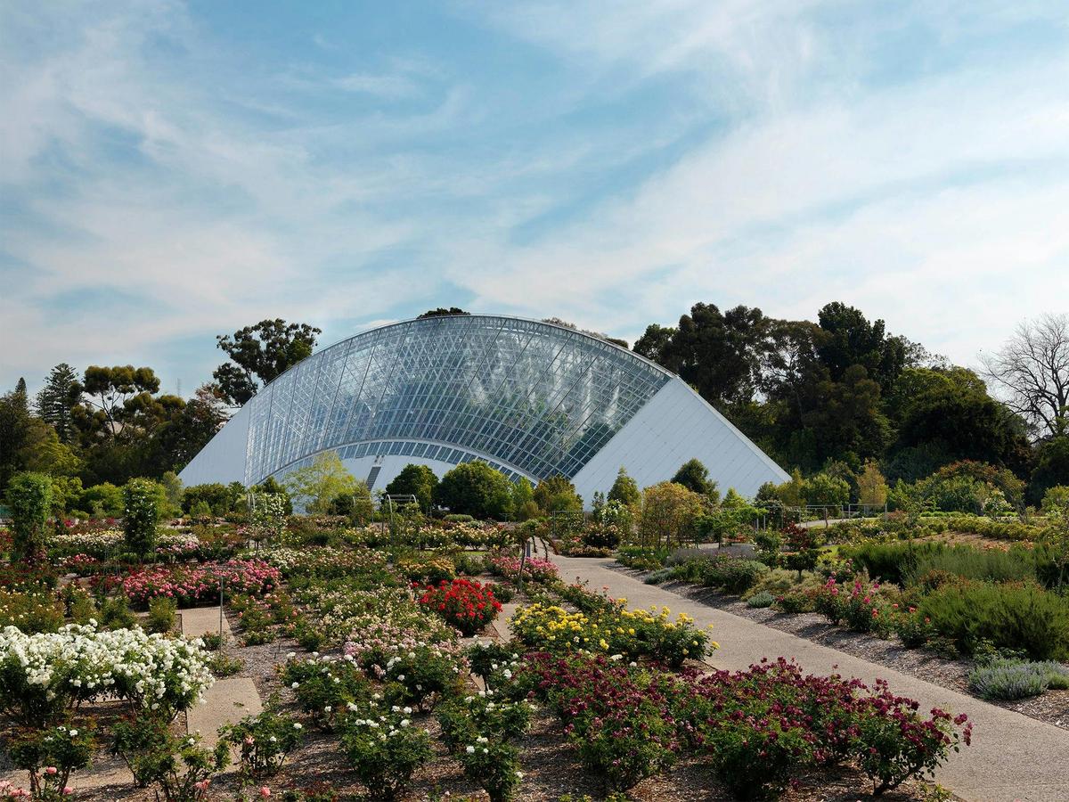 The Bicentennial Conservatory is the largest single-span glasshouse in the Southern Hemisphere.
