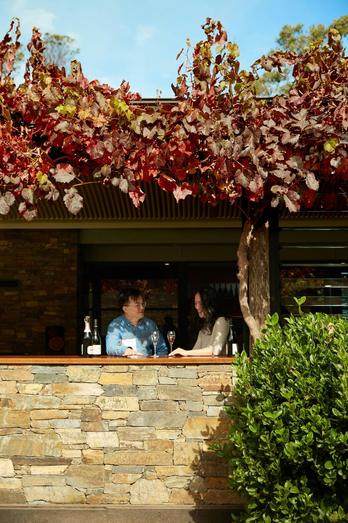 3 Day European Odyssey: A South Australian Cultural Food & Wine Adventure