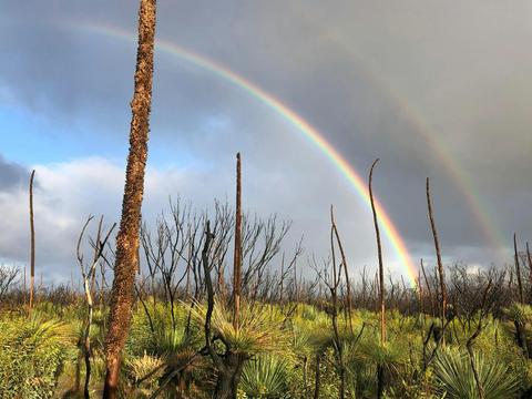 6 day Women’s Kangaroo Island Wilderness Trail (KIWT)