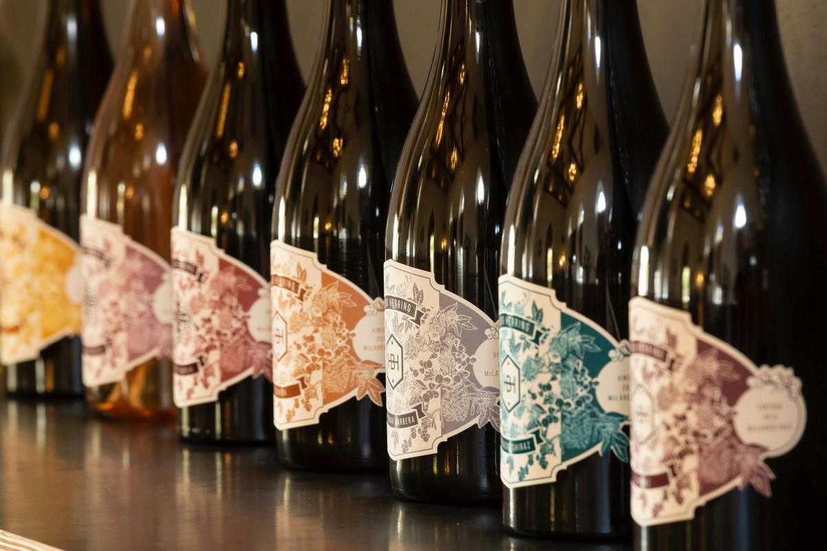 Wine bottle line up