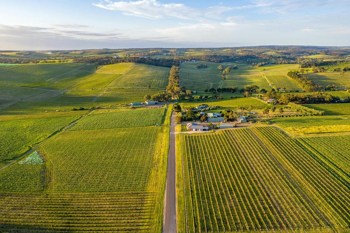 Bondar Wines McLaren Vale