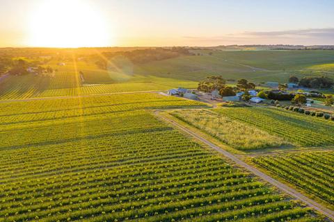 Bondar Wines