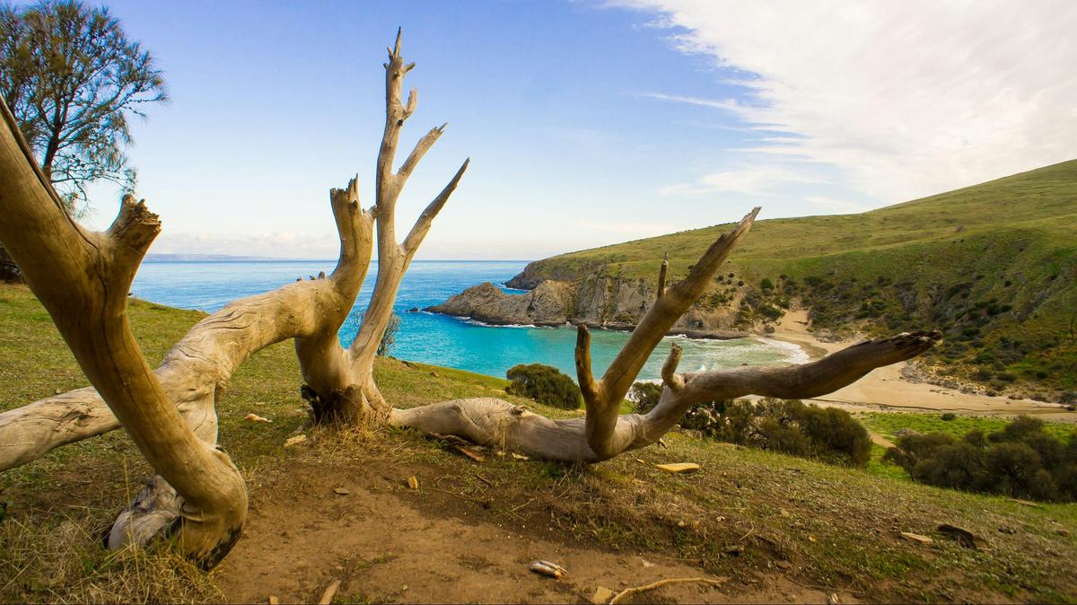Great picnic spot at blowhole beach