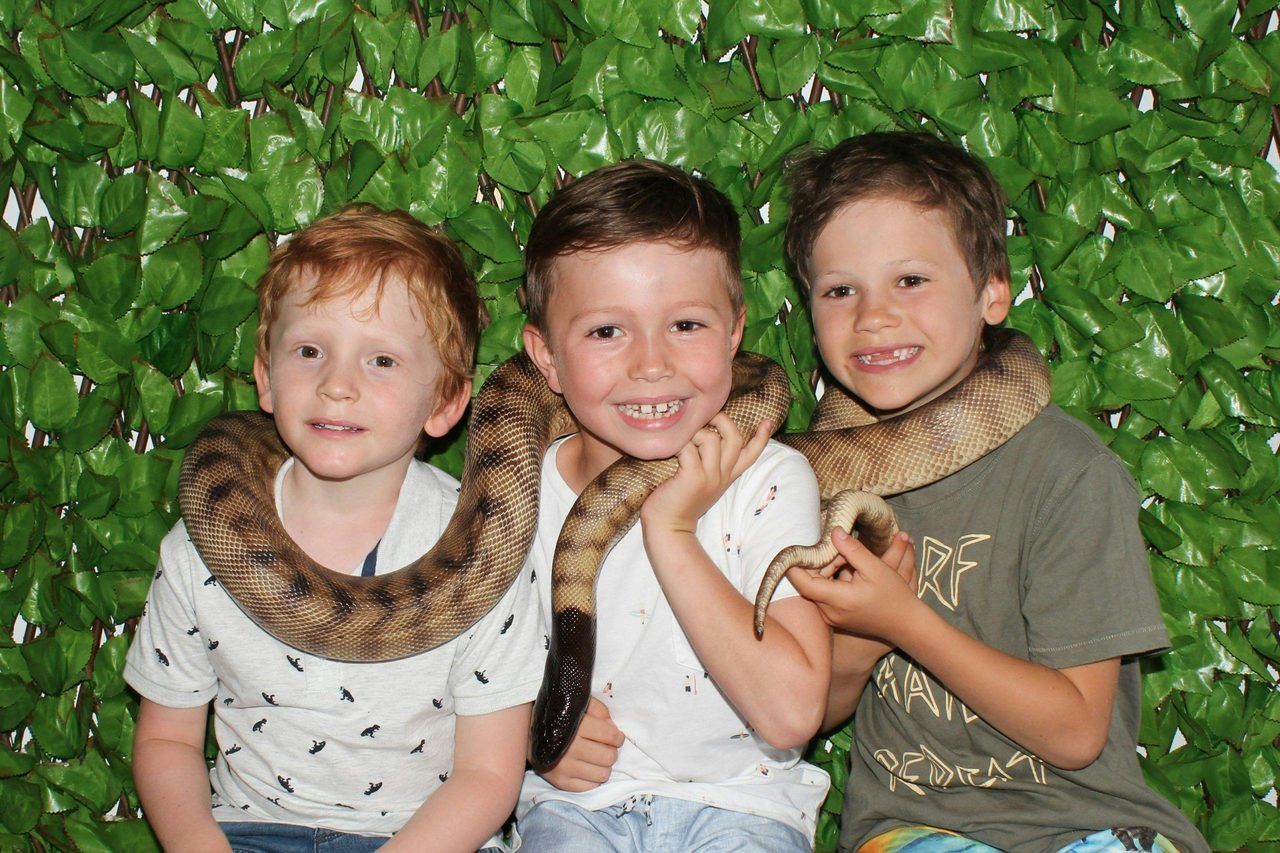Reptile World
