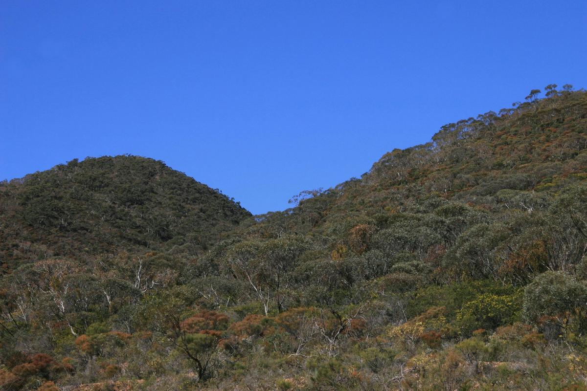 black hill conservation park
