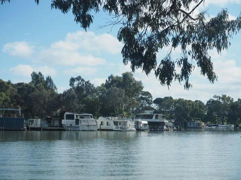 BIG4 Murray Bridge Riverfront
