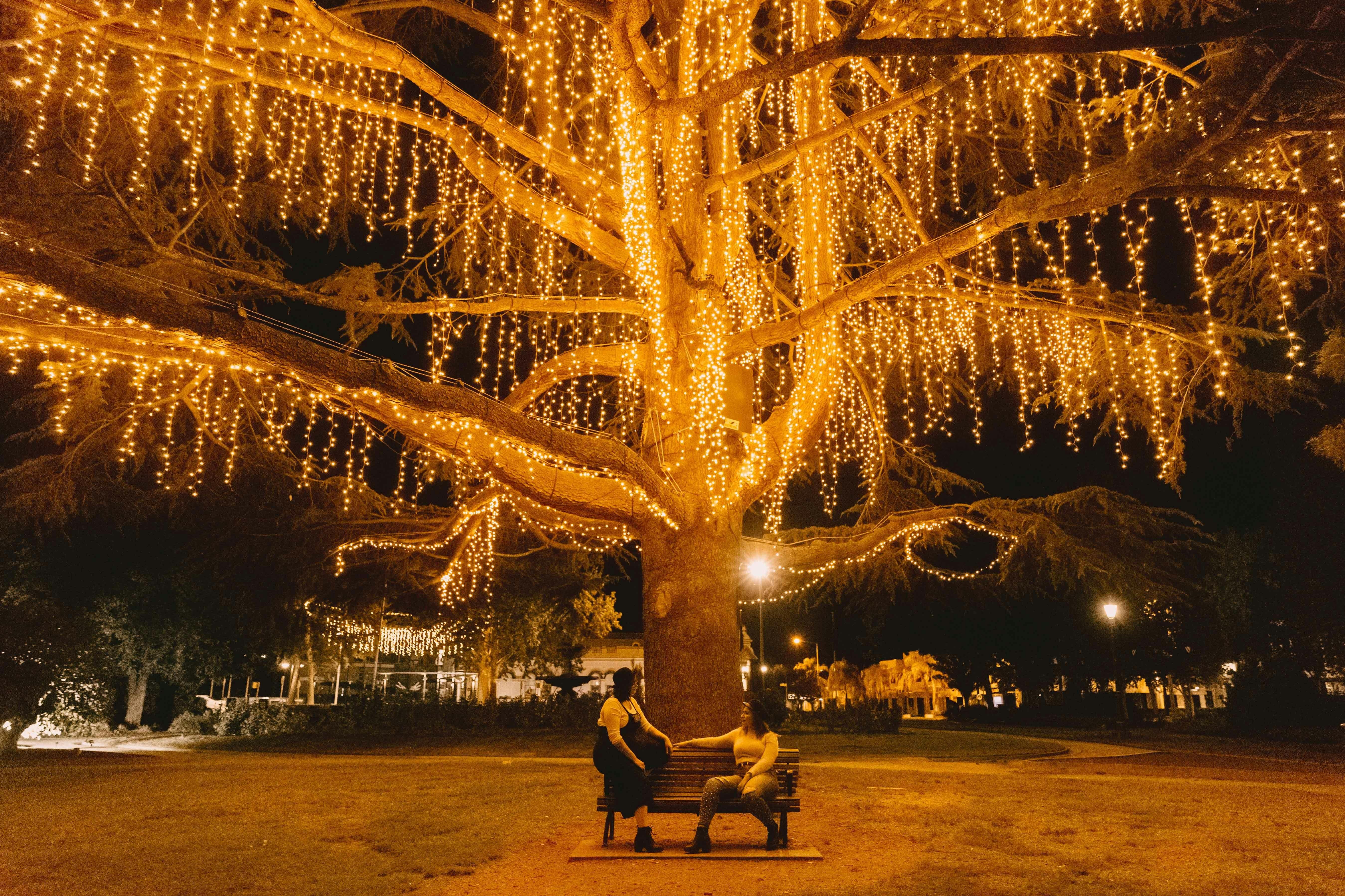 Victory Memorial Gardens in Wagga Wagga
