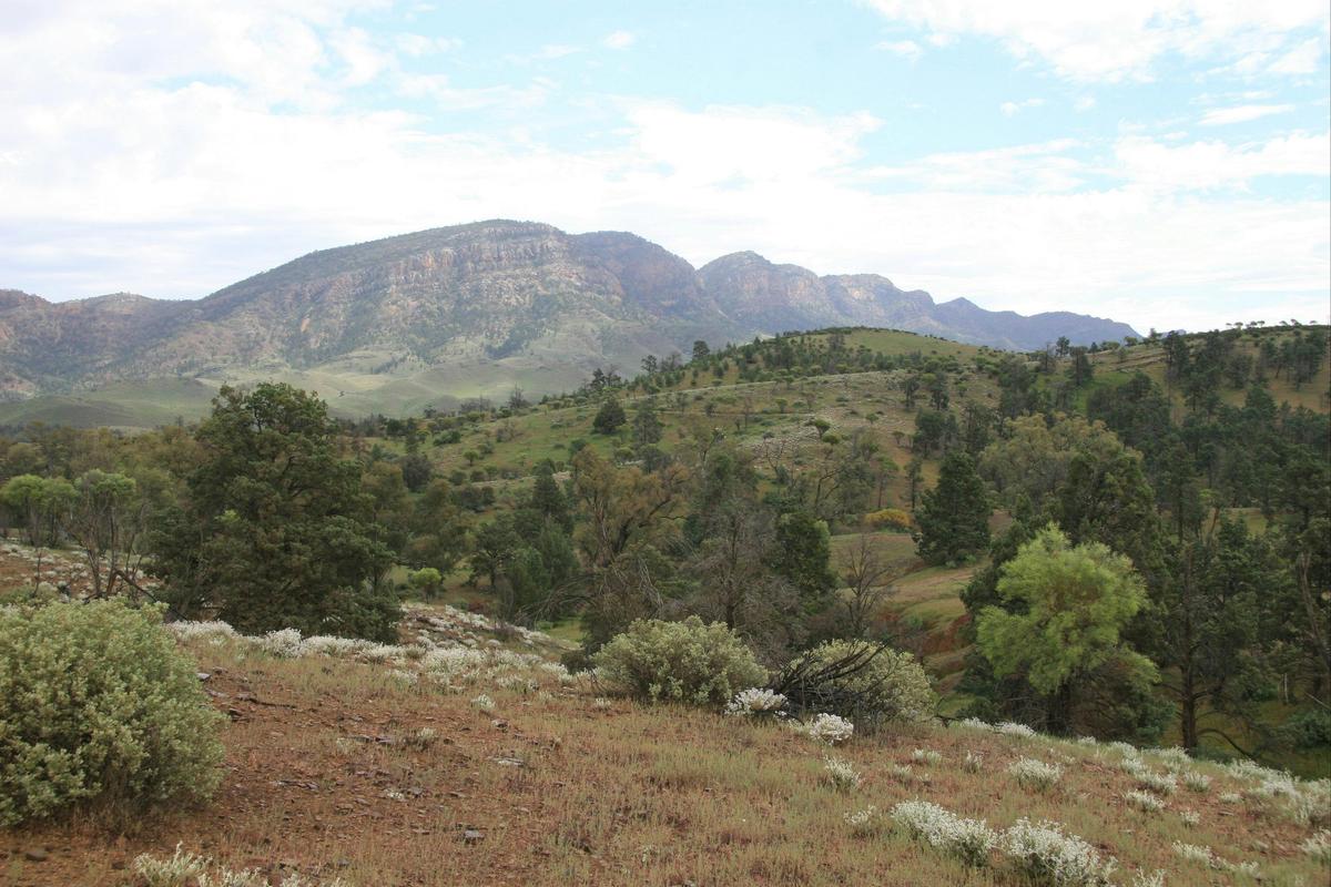Brachina Gorge