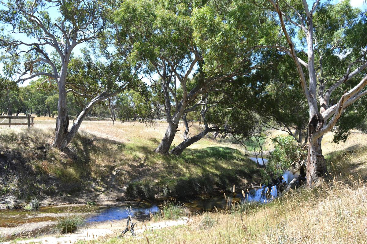 Back Valley Creek
