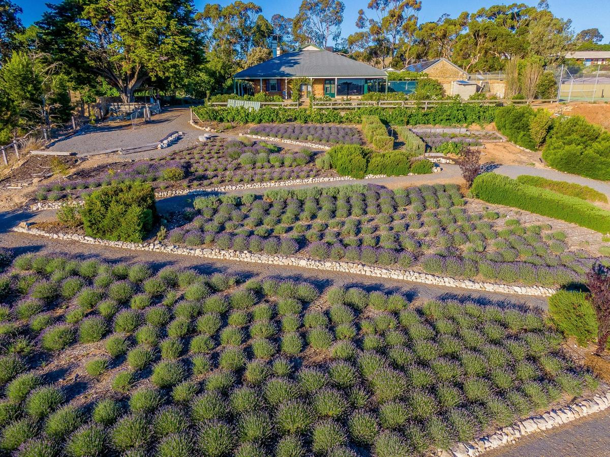 Murray Bridge Farm