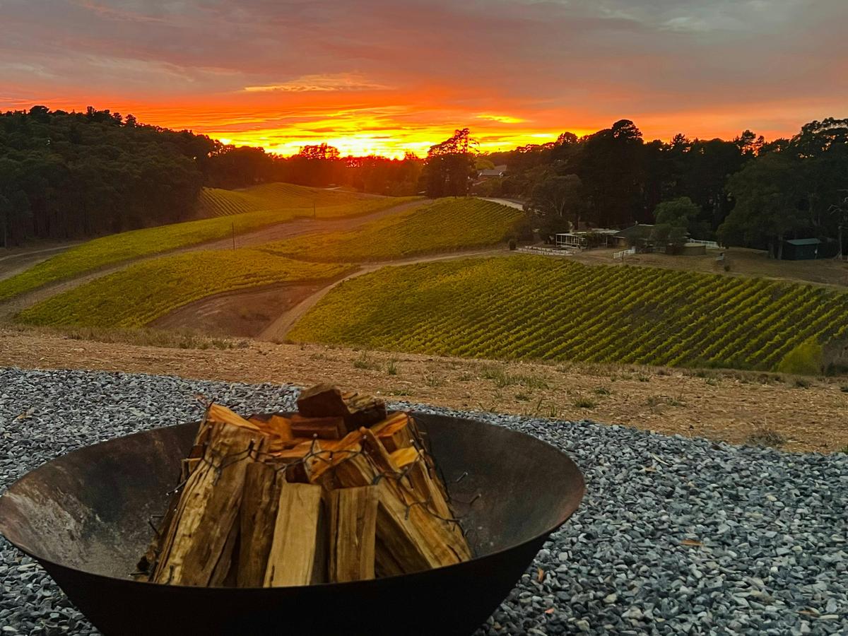 Golden sunrise, vineyard views, and a warm fire — mornings at the tiny home are something special.