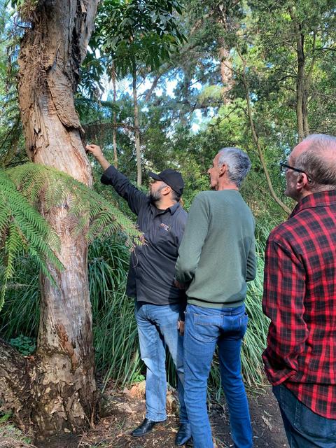 Botanical Gardens Native Plants and Social History Tour