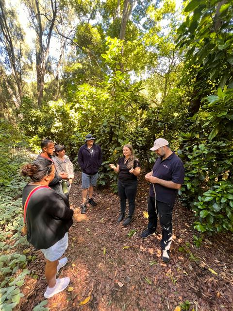 Adelaide Aboriginal Cultural Experience Half Day (ADL HD)