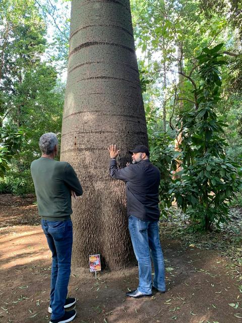 Bookabee Tours Australia