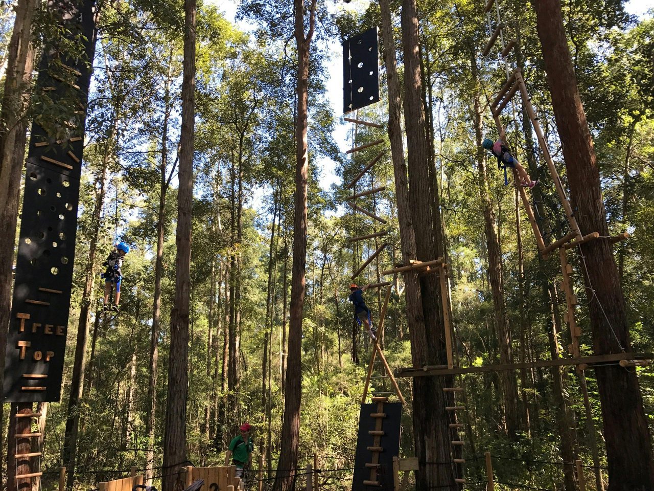 Vertical Challenges