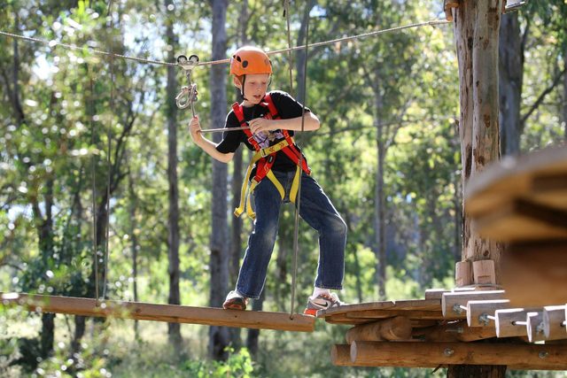 Treetops Adventure Central Coast