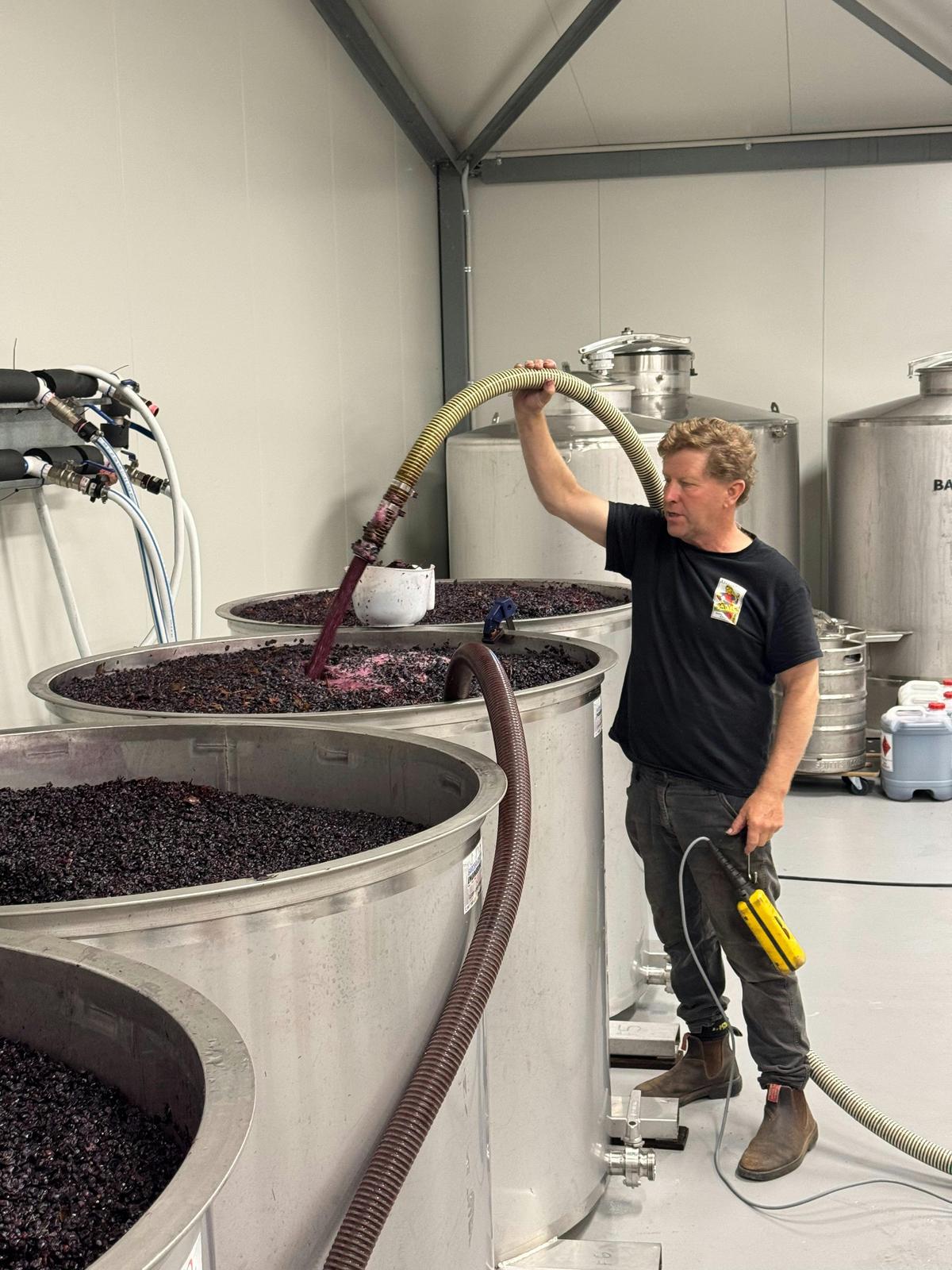 BallyCroft Wines