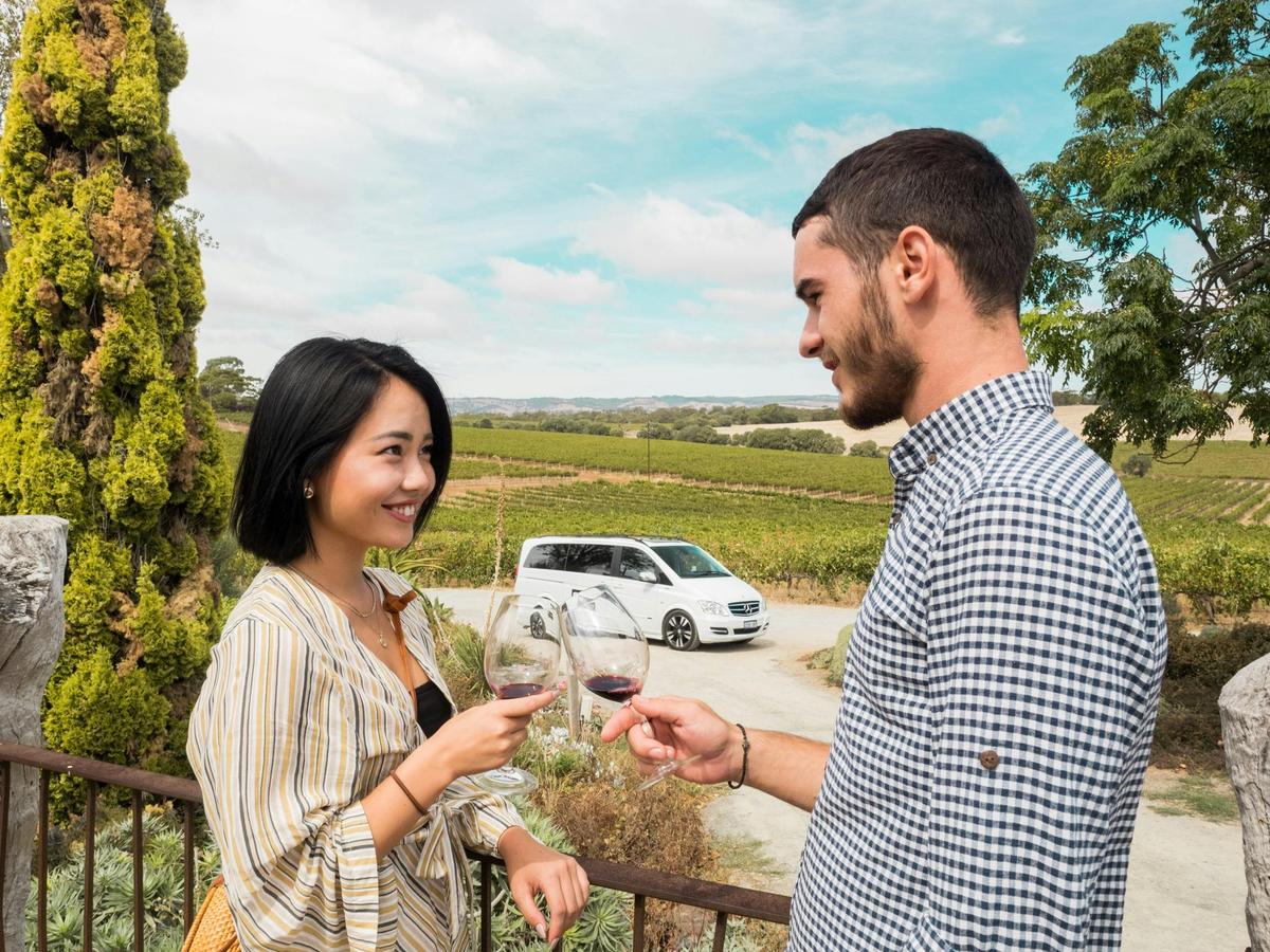 Mclaren Vale Tour