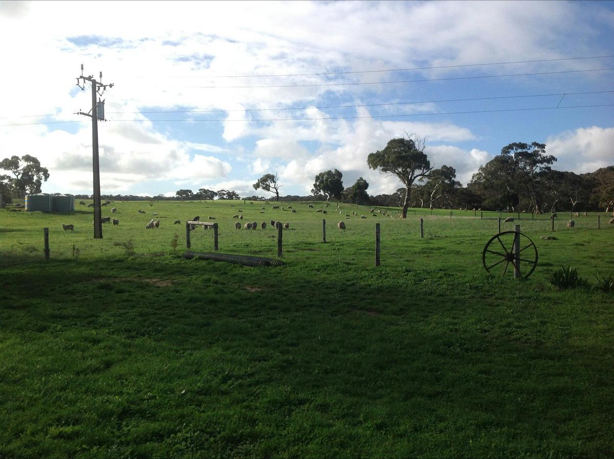 Farm