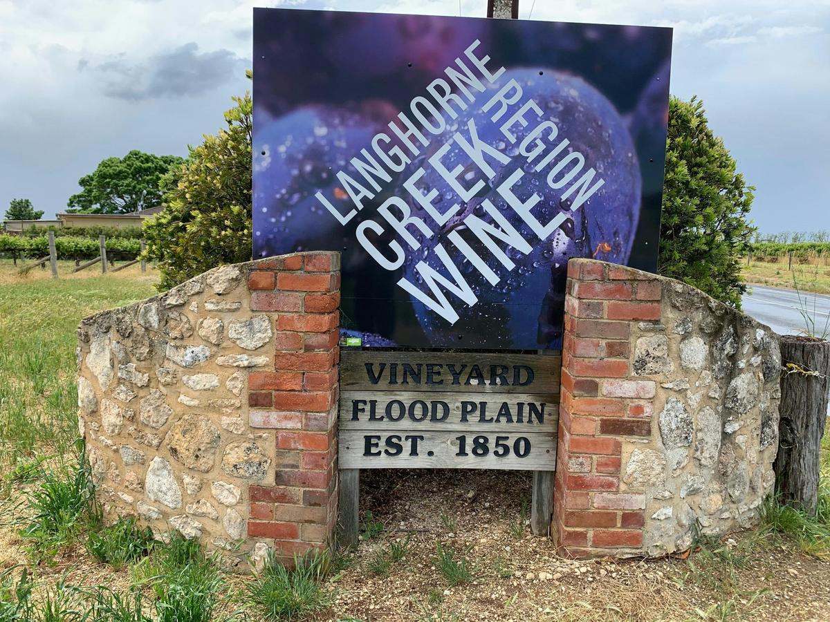 Private Wine Tour - Langhorne Creek