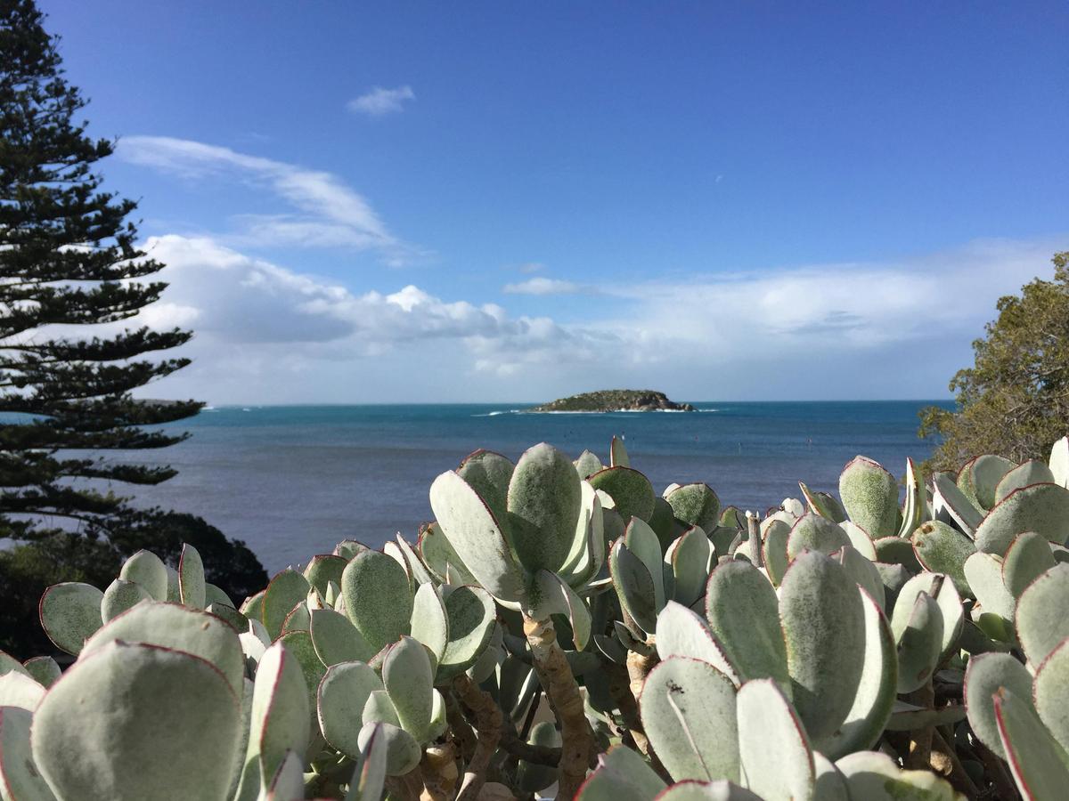 view of Wright Island from deck