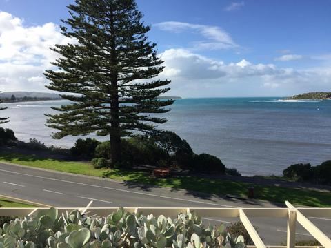 Breeze at the Bay