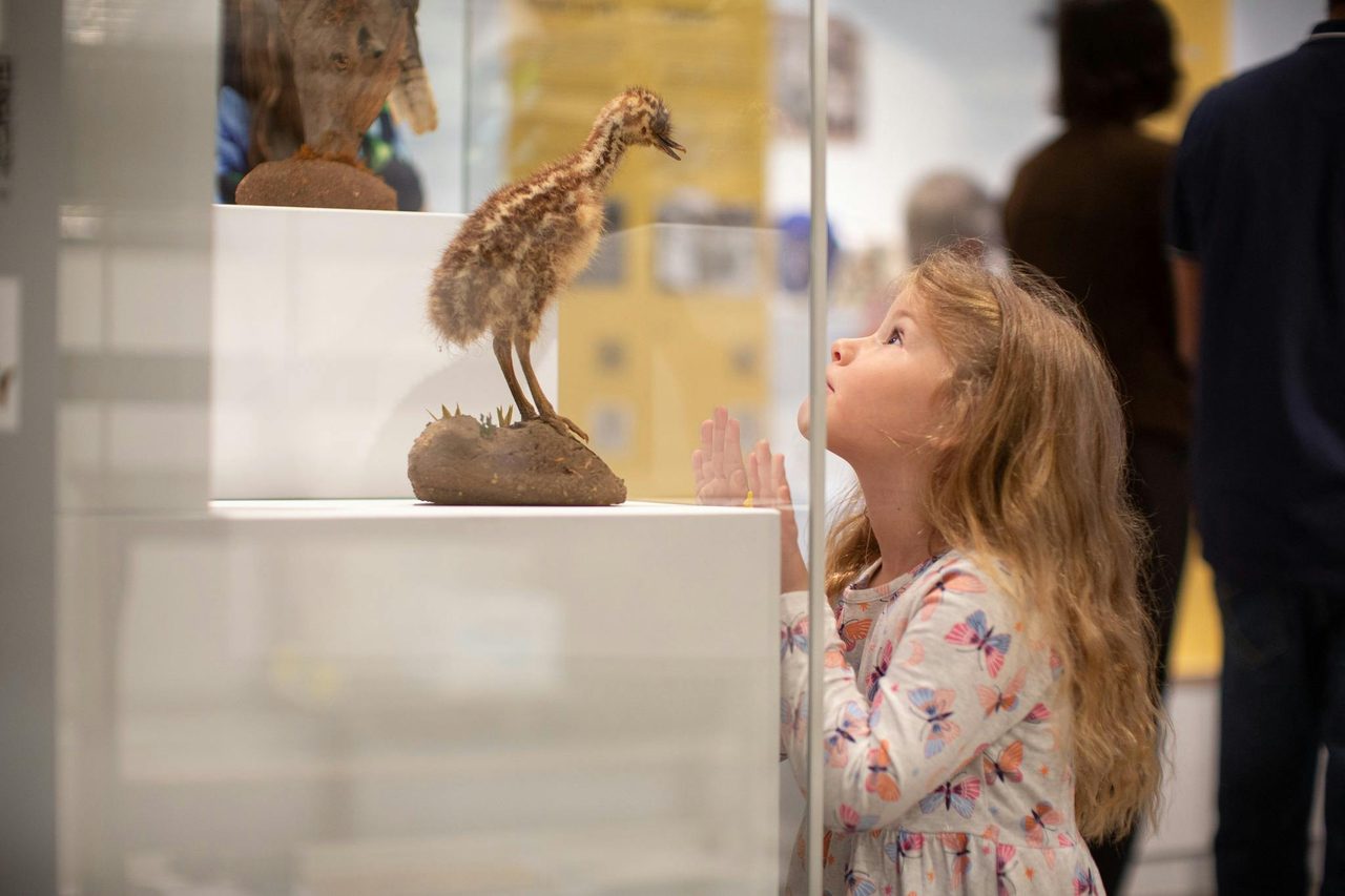 Sugar Valley Library Museum
