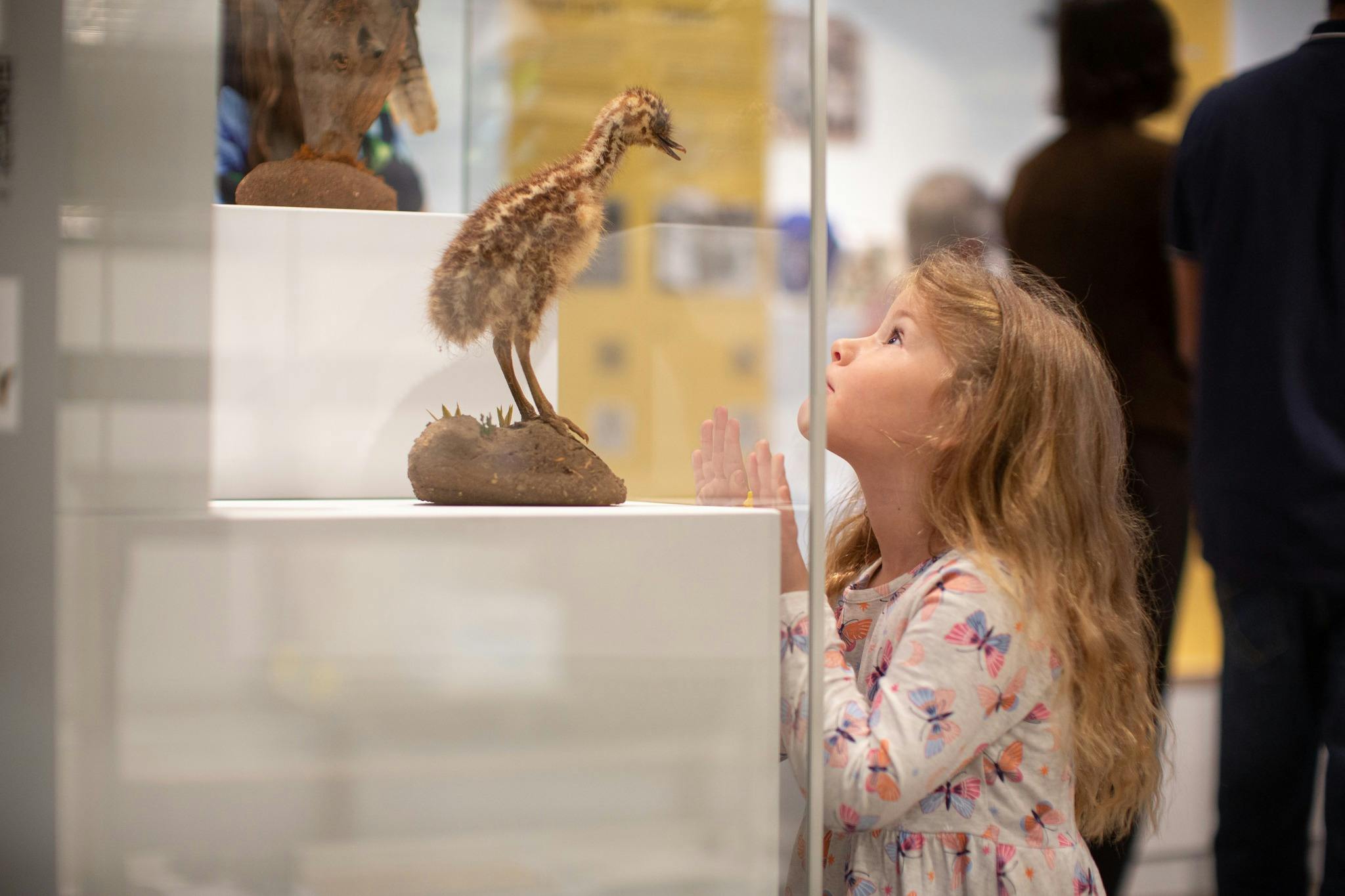 Sugar Valley Library Museum