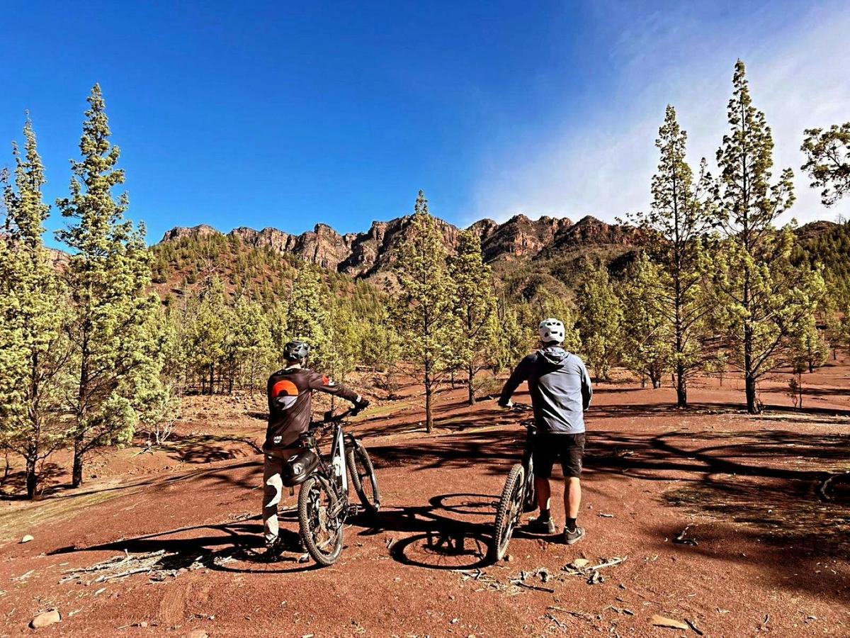 7-Day Flinders Ranges, Outback and Clare Valley E-Bike Tour