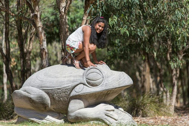 Stone sculptures of the lizard and frog, Wentworth Common playground