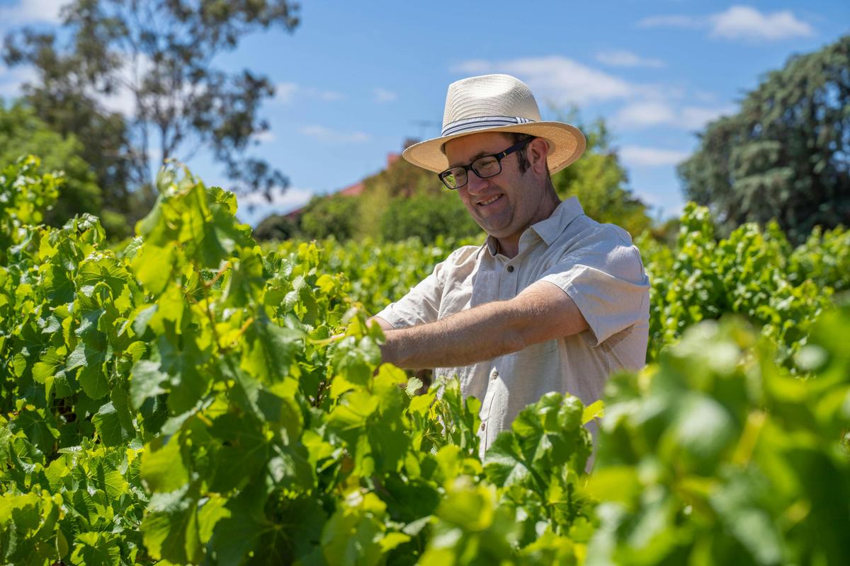 Derek Fitzgerald - Chief Winemaker at BFW