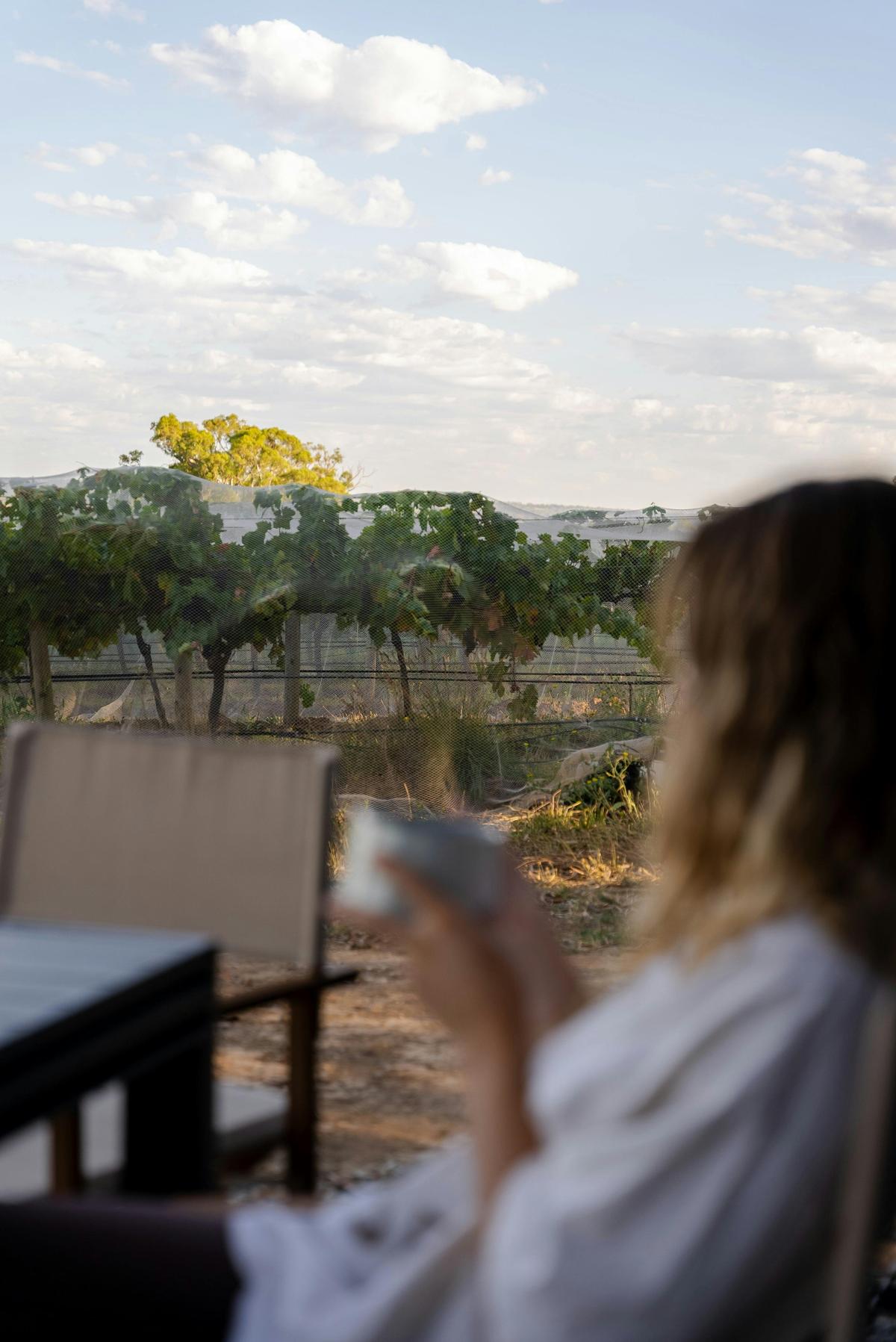CABN Melissa McLaren Vale Accommodation