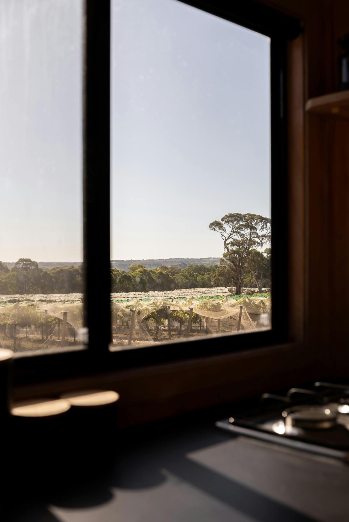 CABN Matilda McLaren Vale