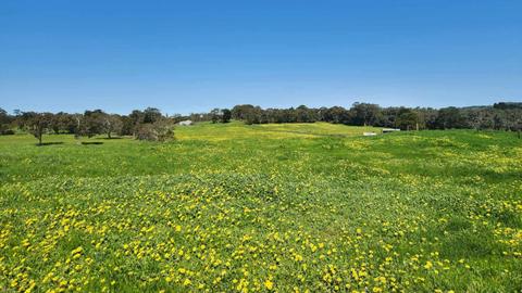 Brookside Farm