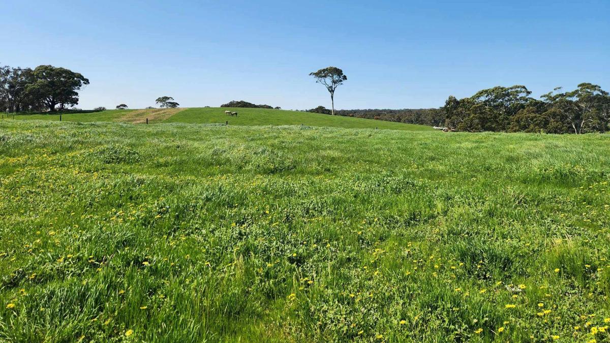 Private campsite with 360 degree views