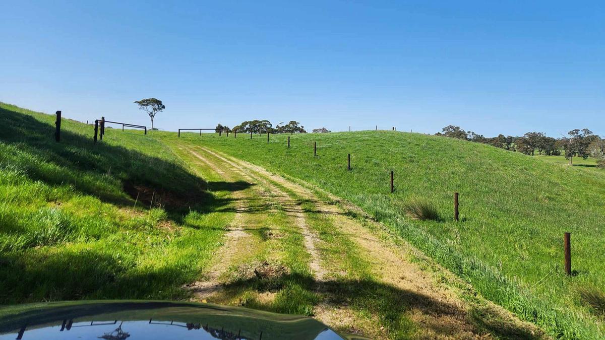 Gravel driveway up the hill