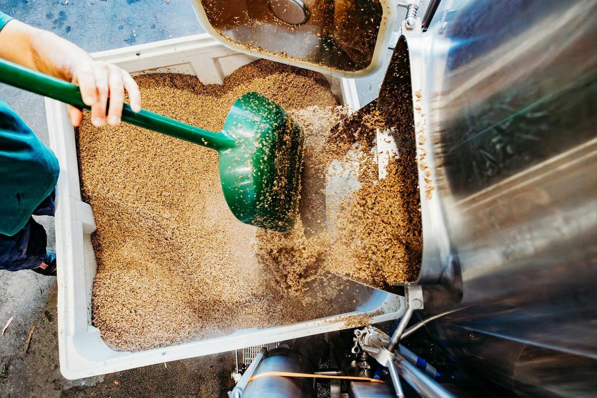 Spent Grain