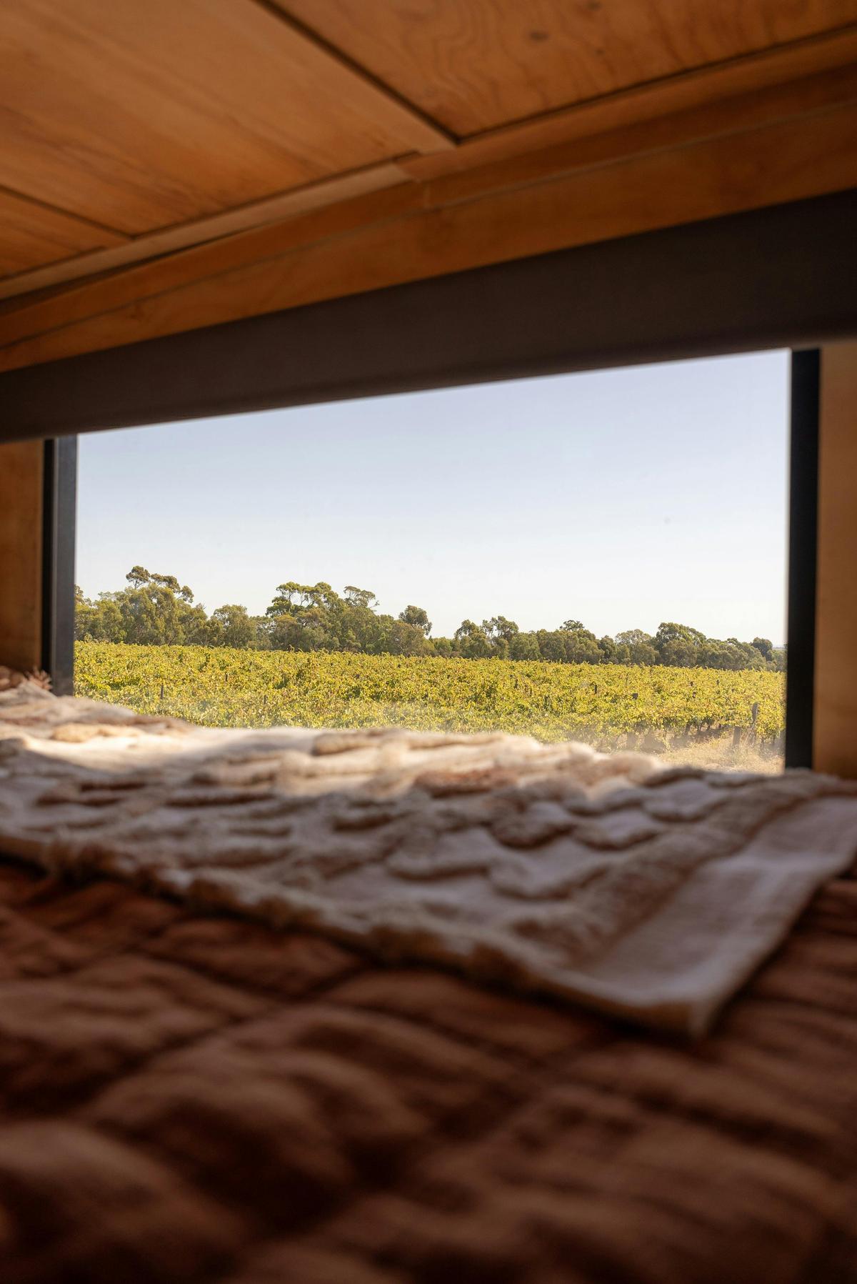 View from loft bed CABN Jude McLaren Vale