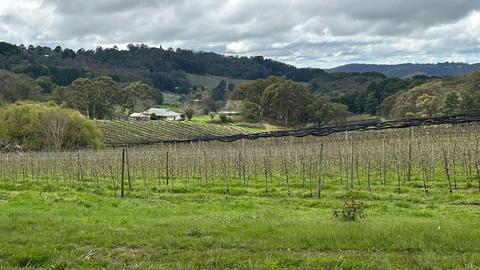 Adelaide Hills Magical Retreat