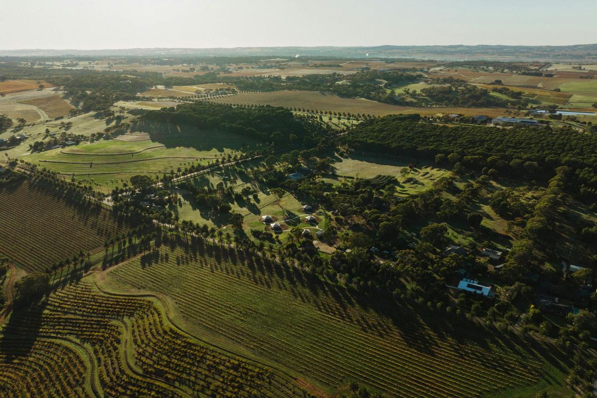 Aerial view of CABN CANVS Seppeltsfield, Barossa
