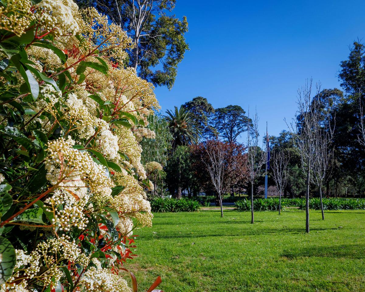 Parklands within the gardens