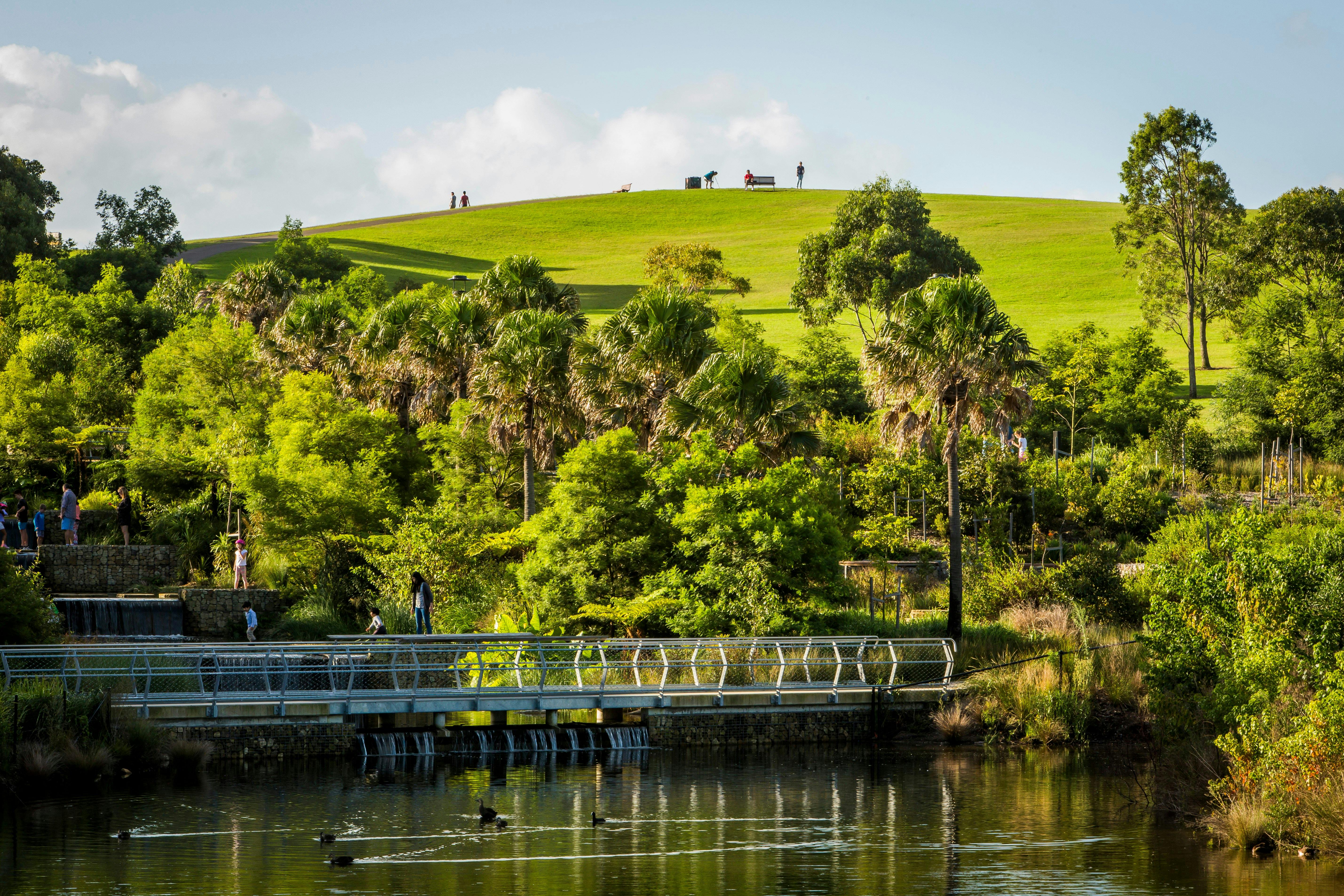 Picturesque wetlands located in the award-winning Sydney Park, St Peters