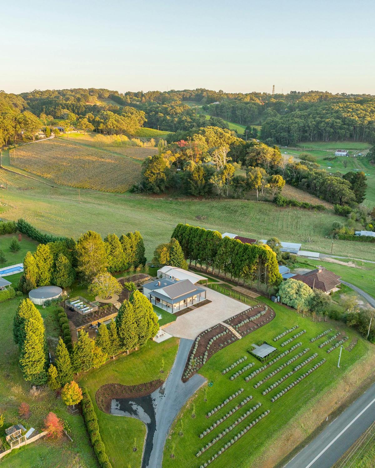 Adelaide Hills House is nestled amongst 100 year old pine trees overlooking the Piccadilly Valley