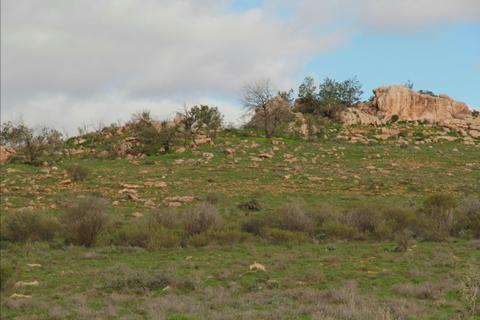Camel Hump Lookout Walk
