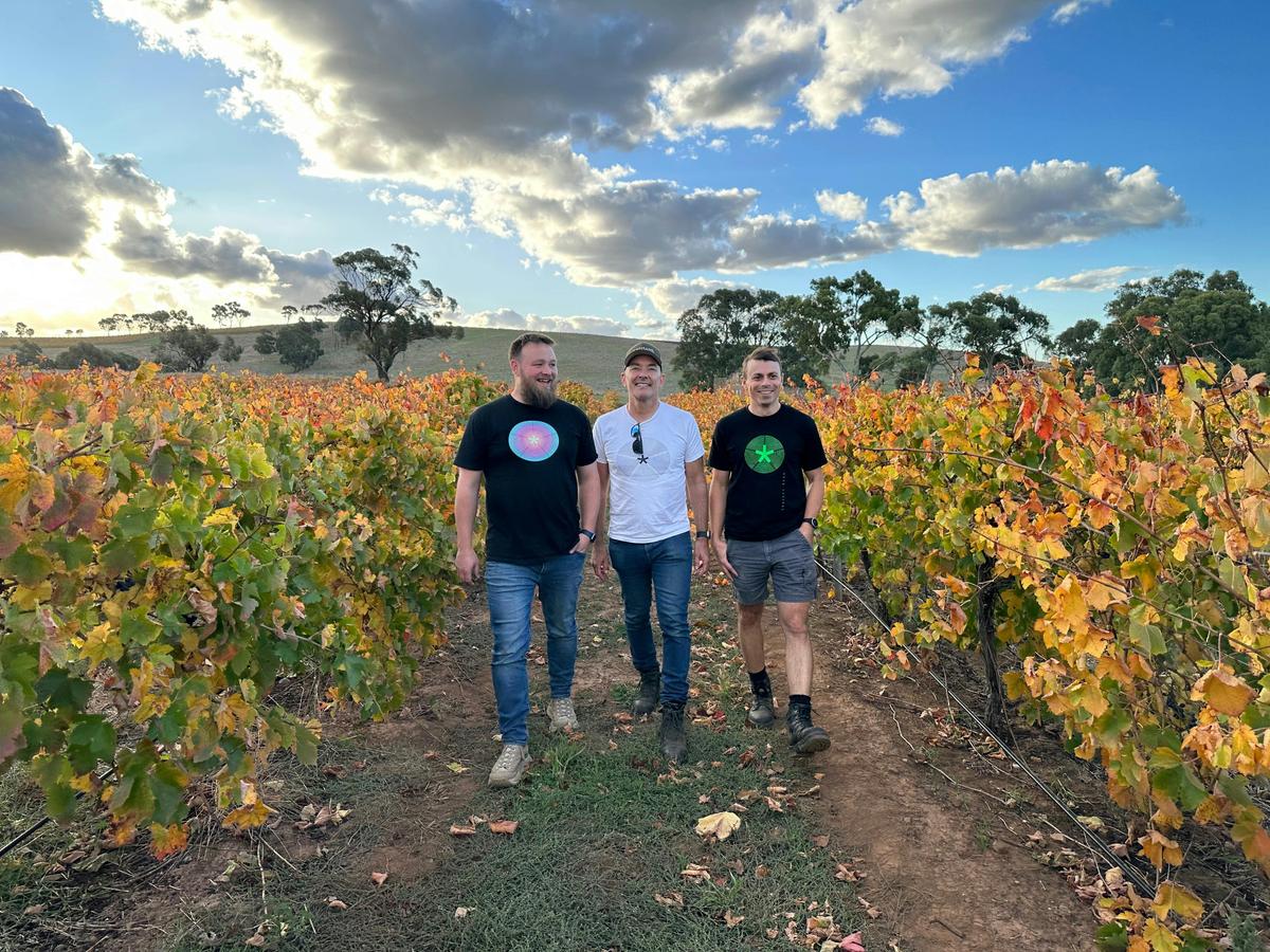 Winemakers Theo Engela, Daniel Chaffey Hartwig & Huon Fechner in the vineyard