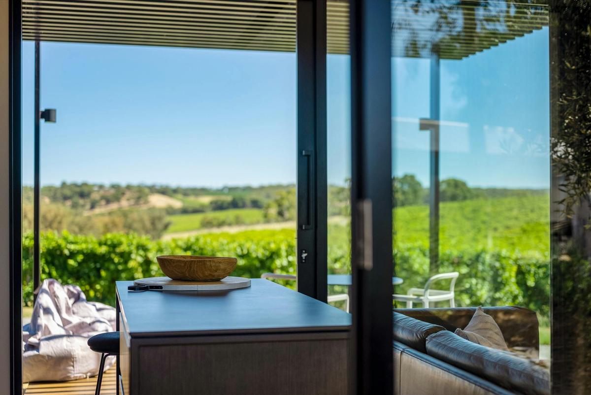 Cadole Avalon view over vineyard