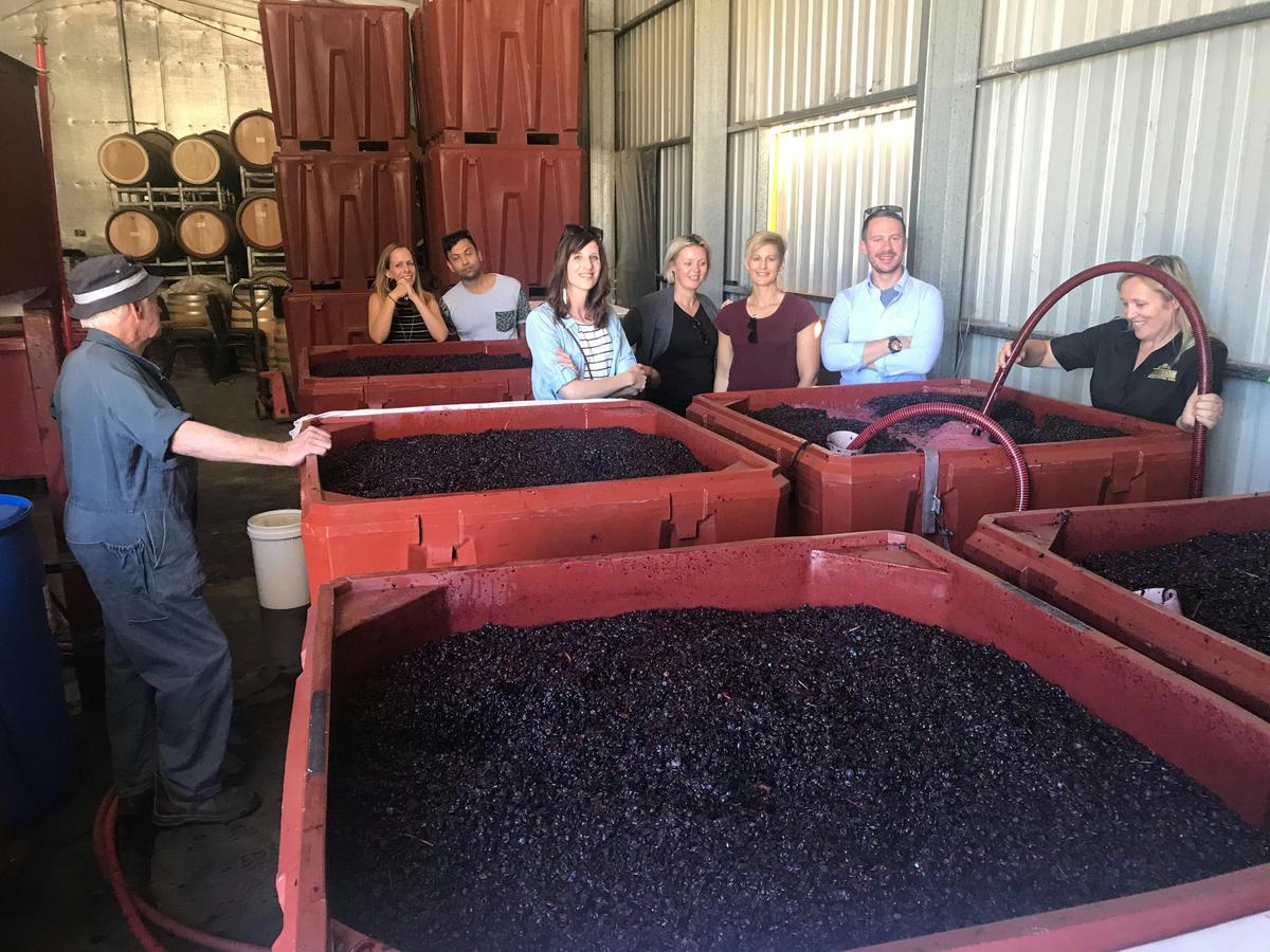 McLaren Vale Private or Join Small Group Tour