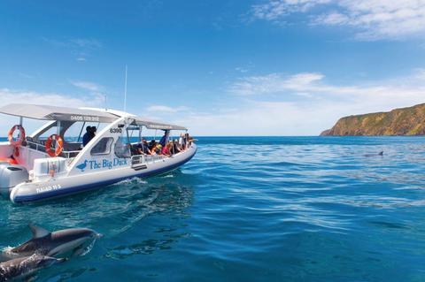 Victor Harbor, Southern Highlights and Big Duck Cruise